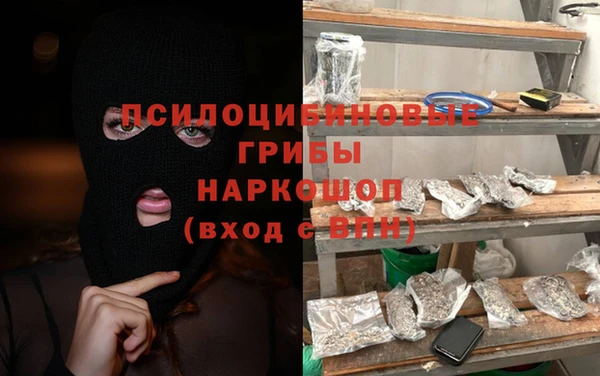 ПСИЛОЦИБИНОВЫЕ ГРИБЫ Костерёво