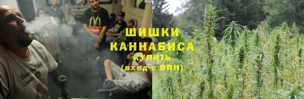 ПСИЛОЦИБИНОВЫЕ ГРИБЫ Костерёво