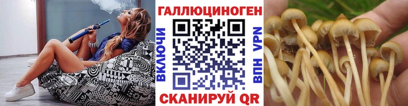 Купить где  Горнозаводск  Галлюциногенные грибы Cubensis 